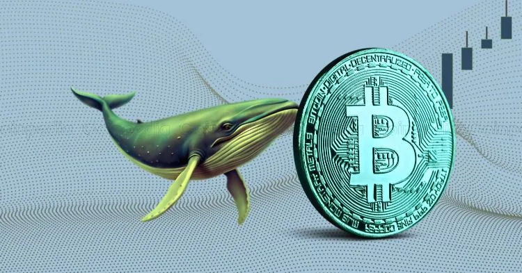 布朗大學投資500萬美元比特幣ETF 幣價反彈
