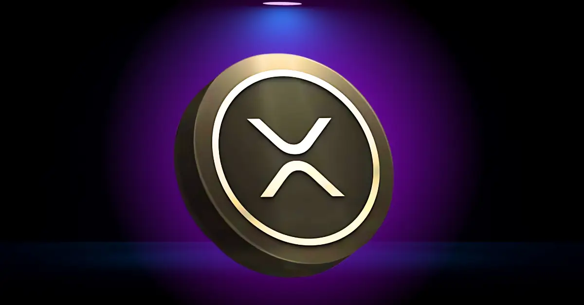 XRP富豪榜：持有多少能進前10%？